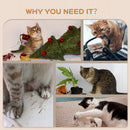 PawHut 4PCs Wall Mounted Cat Tree Cat Wall Shelves W/ Scratching Post - Dark Grey/Brown