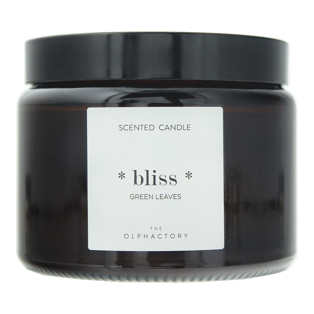 the-olphactory-bliss-green-leaves-scented-candle-360g