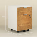 HOMCOM 2 Drawer Filing Cabinet With Adjustable Hanging Bars For A4 And Letter
