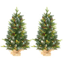 HOMCOM 2 Pieces Prelit Artificial Tabletop Christmas Trees, LED Display