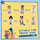 PawHut Wooden Dog Kennel, Dog House with Removable Floor