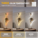 HOMCOM Led Wall Lamp 2 Pack, Modern Indoor Spiral Wall Light