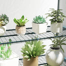 Outsunny 4 Tier Lean-to Mini Greenhouse With Reinforced PE Cover