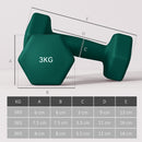 SPORTNOW Dumbbells Set with Carry Storage Rack, 2 x 1kg, 2 x 2kg, 2 x 3kg