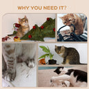 PawHut 4PCs Wall Mounted Cat Tree Cat Wall Shelves W/ Scratching Post - Dark Grey/Brown