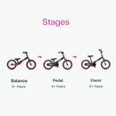 Xtend Bike