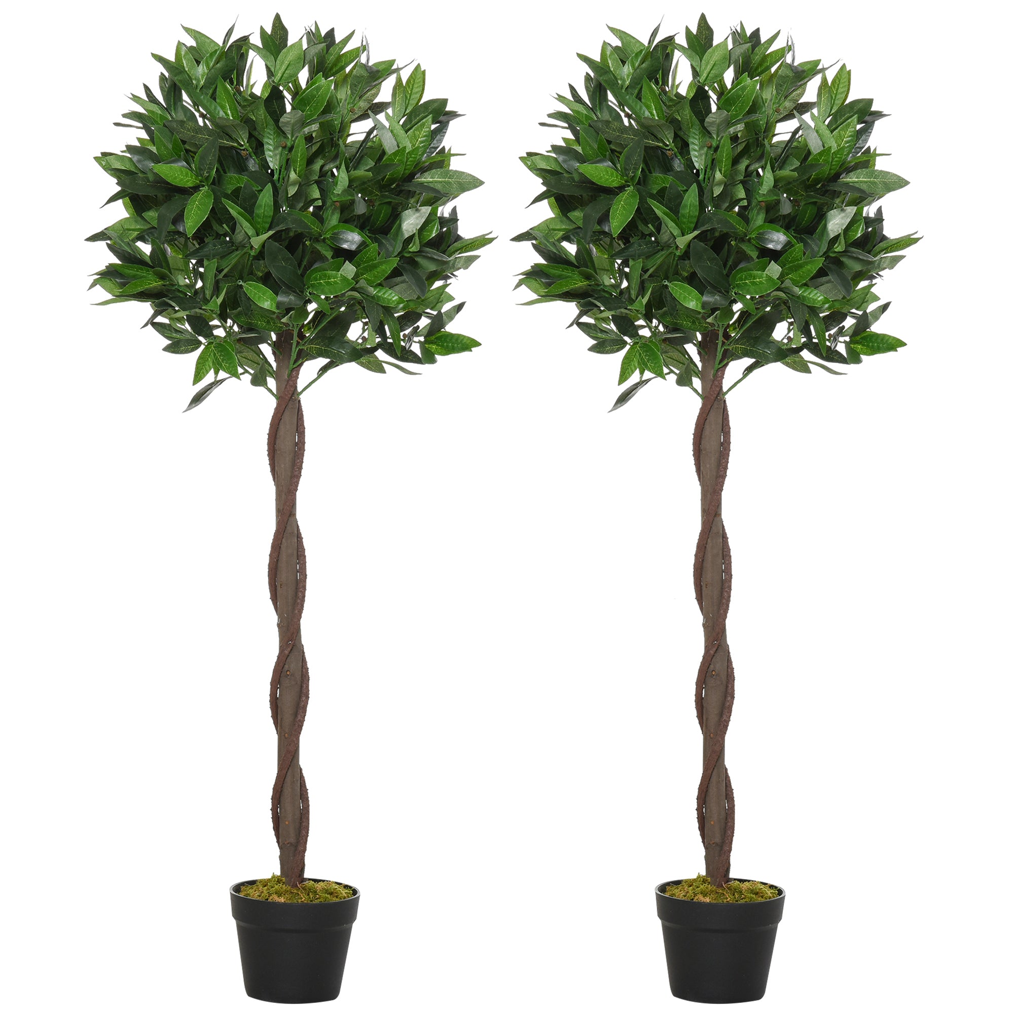 Plain Pair of Stem Artificial Topiary Bay Laurel Ball Trees main image 1