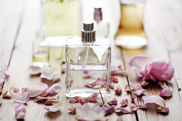 Ultimate Fragrance Guide