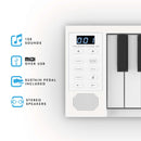 Carry-On 49 Key Folding Piano