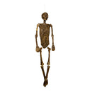 5ft (150cm) Full Body Halloween Mummified Skeleton Decoration with Posable Joints