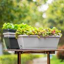 Breeins 5-Piece Rectangle Garden Planter Set
