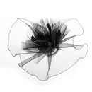 Black Vintage Fashion Fascinator