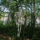 Posable Full Body Skeleton Prop