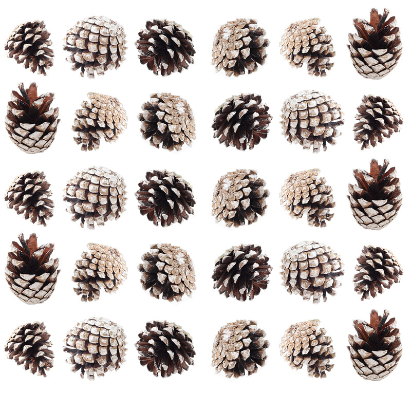 Lifeideas 30-Piece Pine Cone Christmas Tree Hanging Ornament Set