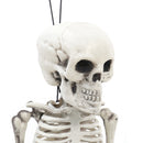 Realistic Posable Hanging Skeleton for Halloween