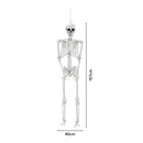 Poseable Skeleton Props for Halloween Party Decoration