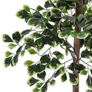 Breeins Artificial Zamioculcas Decorative Plant In Planter