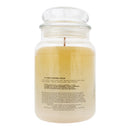 Yankee Candle Coconut Splash Candle 623g