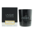 Lalique Vanille Acapulco Mexique Candle 190g