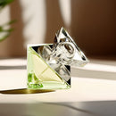 Britney Spears Believe Eau De Parfum - 30ml
