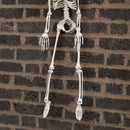 3ft (90cm) Posable Full Body Halloween Skeleton Decoration with Movable Joints