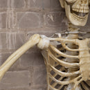 5ft (1.52m) Posable Full Body Halloween Skeleton Decoration With Movable Joints