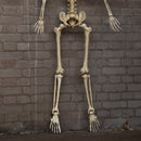 5ft (1.5m) Battery Powered Light Up Halloween Skeleton With Poseable Joints & Red LEDs