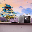 Sharp Osaka Pocket Radio - Storm Grey