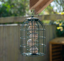 Samuel Alexander Metal Hanging Bird Fat Ball Feeder with Squirrel Guard & Pack of 6 Suet Fat Balls
