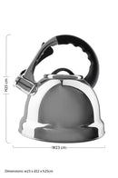 Zion Mirrored 3.2 Ltr Whistling Kettle