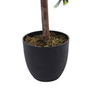 Breeins Artificial Zamioculcas Decorative Plant In Planter