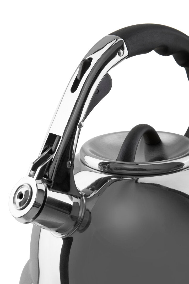 Zion Mirrored 3.2 Ltr Whistling Kettle