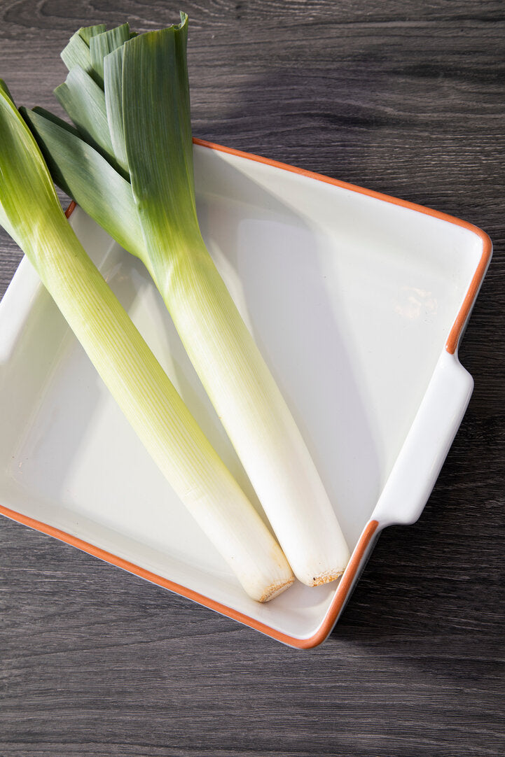 Calisto Terracotta White Glazed Oven to Table Dish