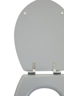 Brooks Matte Grey Toilet Seat