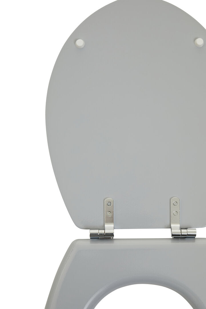 Brooks Matte Grey Toilet Seat