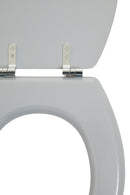 Brooks Matte Grey Toilet Seat