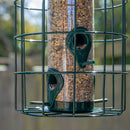 Samuel Alexander Metal Hanging Bird Seed Feeder with Squirrel Guard