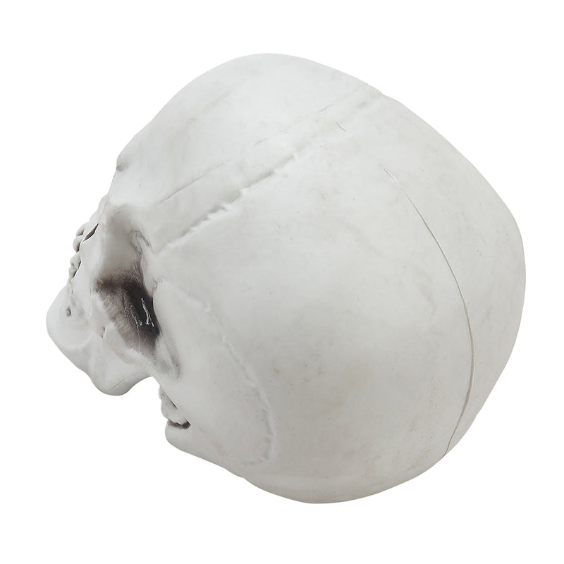 Halloween Realistic Plastic Skull Tabletop Decoration