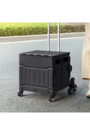 Breeins Collapsible Rolling Utility Crate