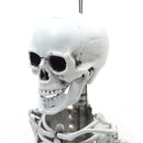 Realistic Posable Hanging Skeleton for Halloween