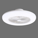 Cottonfy UK Acrylic Ceiling Fan Light with Dimming