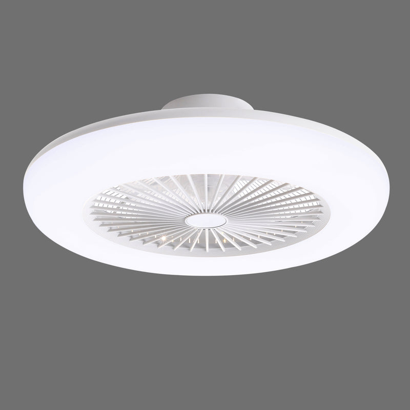 Cottonfy UK Acrylic Ceiling Fan Light with Dimming