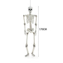Posable Full Body Skeleton Prop