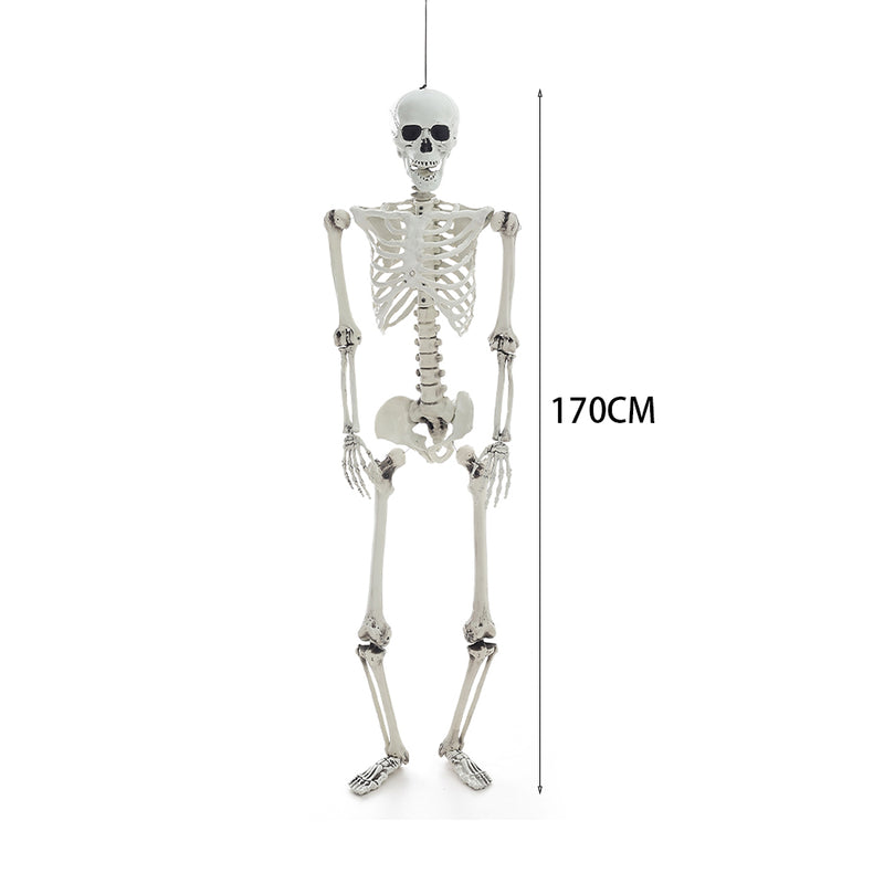 Posable Full Body Skeleton Prop
