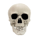 Halloween Realistic Skull and Bone Skeleton Decoration Kit