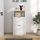 HOMCOM Modern Shoe Cabinet with 2 Flip Drawers and Adjustable Shelves, White