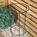 Tom Chambers Urban Green Conical Garden Plant Support Ring 20cm- Small