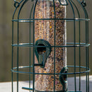 Samuel Alexander Metal Hanging Bird Seed Feeder with Squirrel Guard