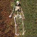 Halloween Realistic Skull and Bone Skeleton Decoration Kit