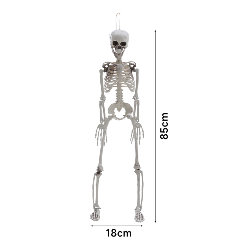 Poseable Skeleton Props for Halloween Party Decoration